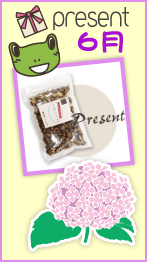 �I�v���X����