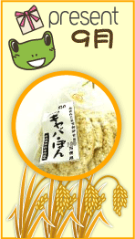 �I�v���X����